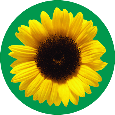 Hidden Dissability sunflower